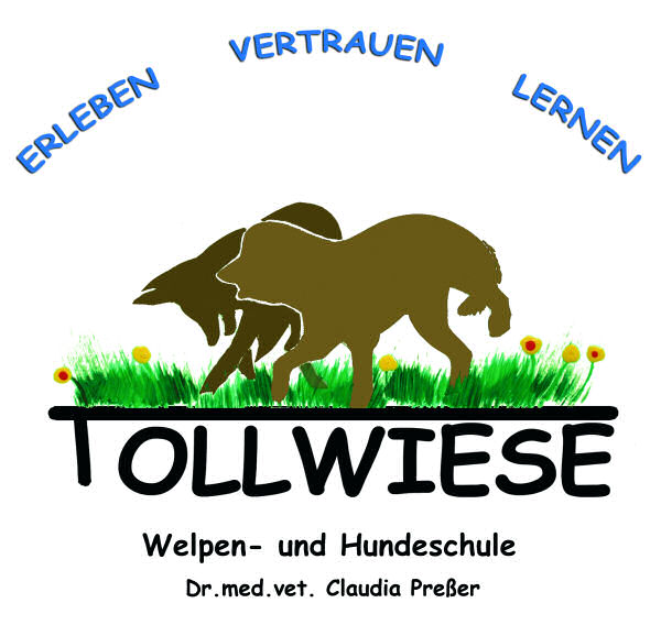 Tollwiese