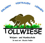 Tollwiese